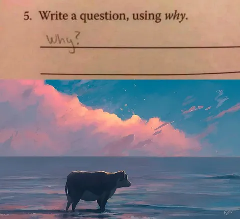 Why Is the Cow in the Ocean?