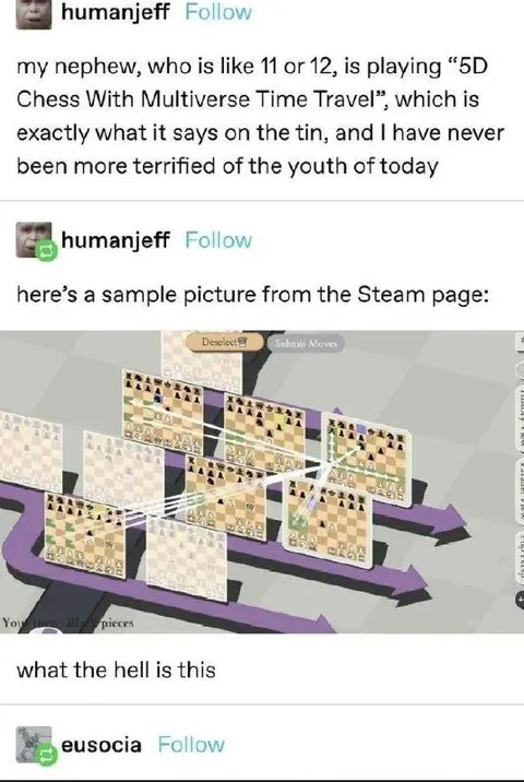 Multiverse Time Travel Chess