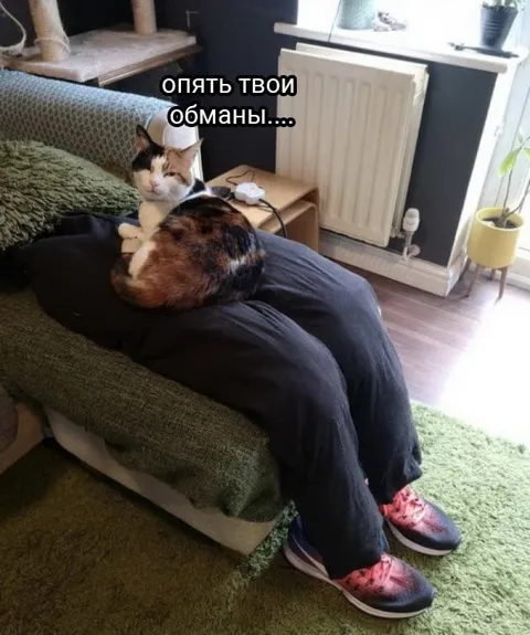 Опять твои обманы
