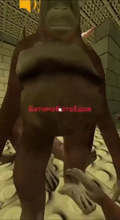 Обезьяны пытаются достать до люка
