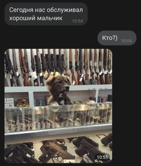 Хороший мальчик в оружейном магазине
