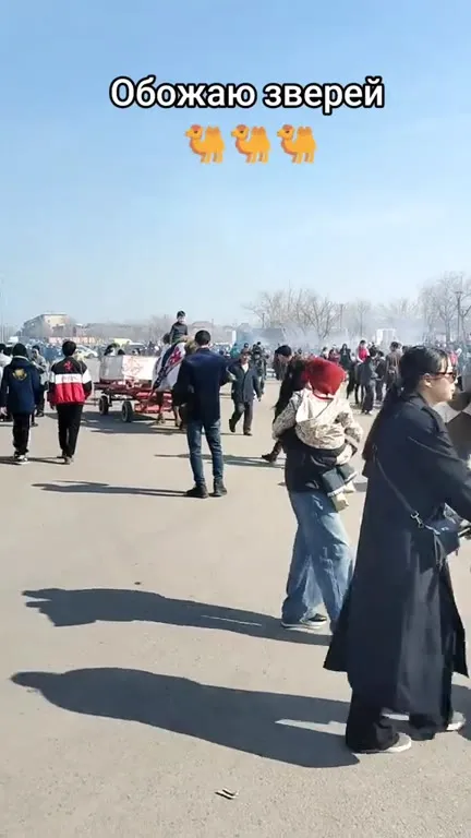 Обожаю зверей и верблюдов