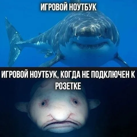 Игровой ноутбук без зарядки
