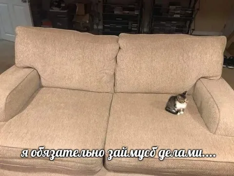 Я обязательно займусь делами
