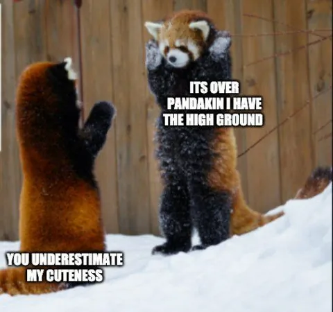 Red Panda Has the High Ground