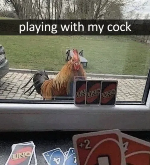 Playing UNO with My Cock