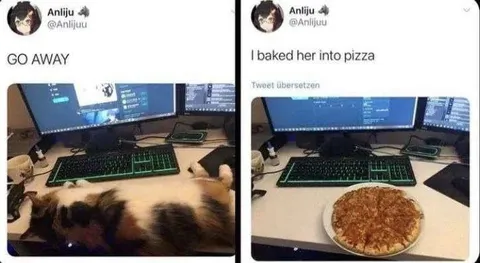 I Baked Her Into Pizza