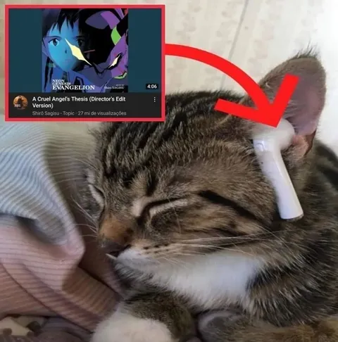 Cat Listening to Evangelion Theme