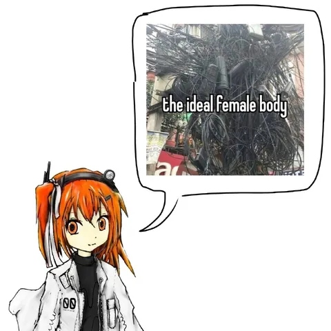The Ideal Female Body Cable Meme