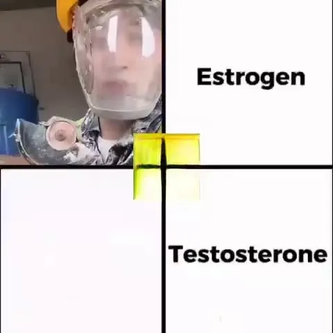 Estrogen Versus Testosterone Transformation