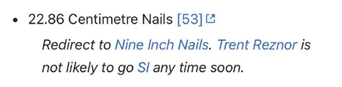 22.86 Centimetre Nails