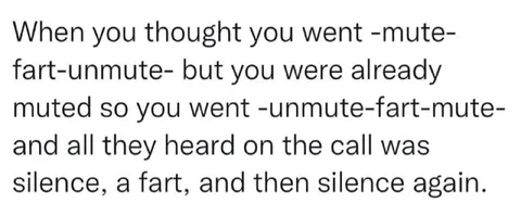 Muted Fart on the Call