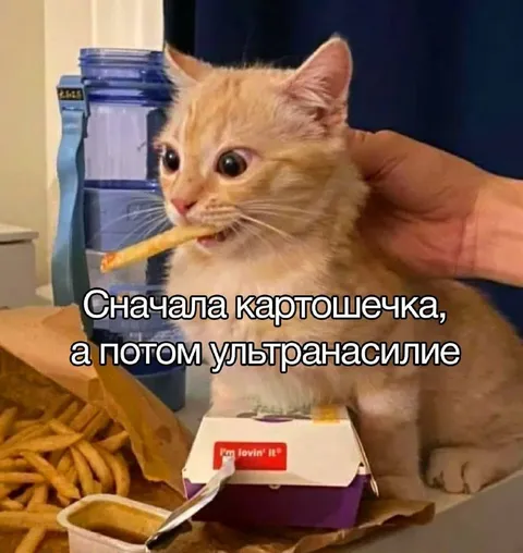 Сначала картошечка, потом ультранасилие