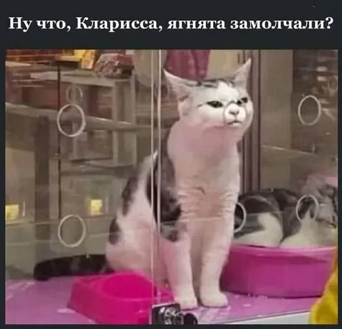 Кларисса и замолчавшие ягнята