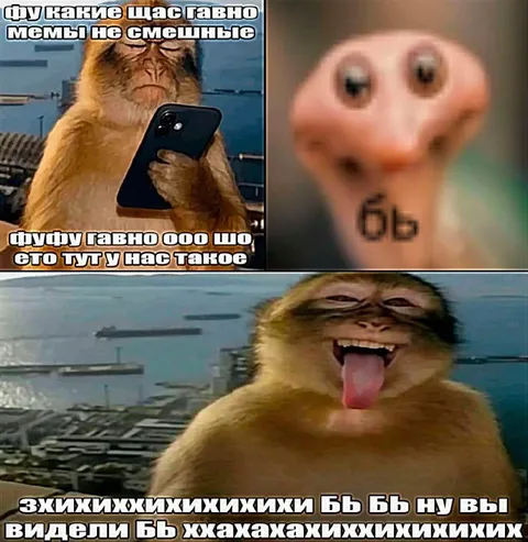 Когда мемы уже не смешные