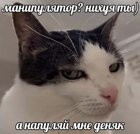 Манипулятор просит денег