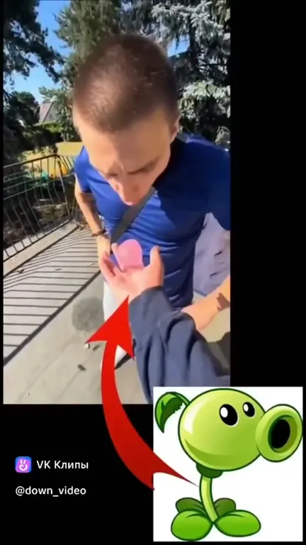Peashooter prank on the terrace
