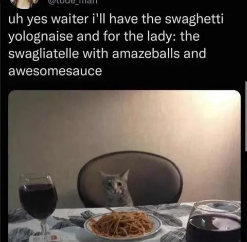 Fancy Cat Dinner Order