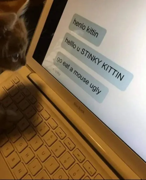 Cat Insults the Kittin
