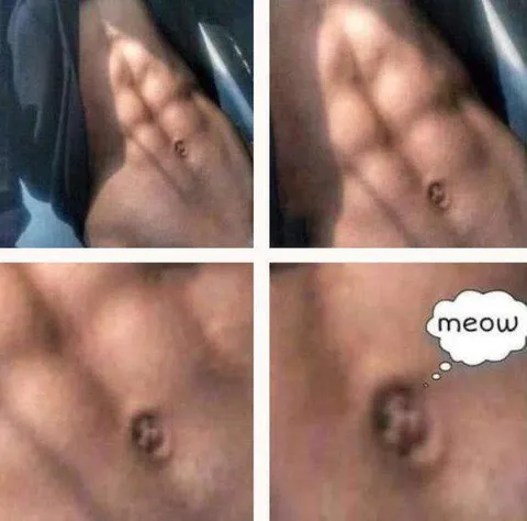 Belly Button Says Meow