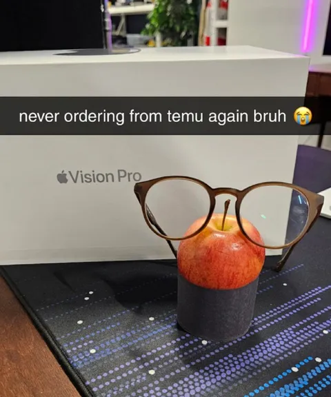 Never Ordering From Temu Again