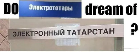 Электротатары и электронный Татарстан