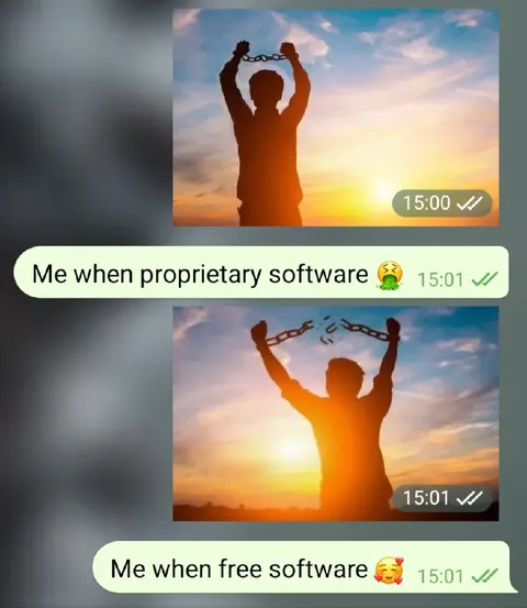 Free Software Breaks the Chains
