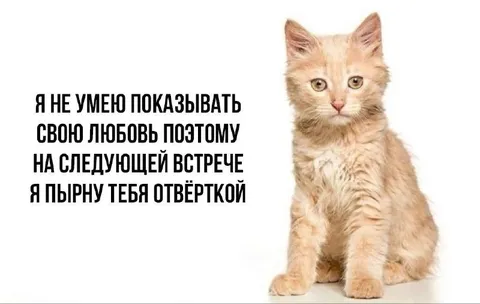 Любовь через пырнуть отвёрткой