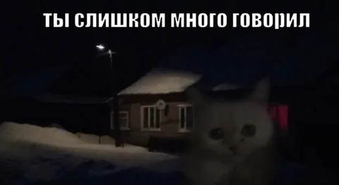Ты слишком много говорил
