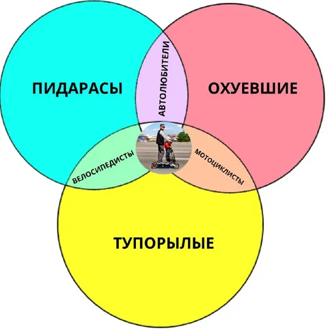 Диаграмма тупорылых водителей