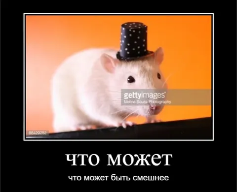 Что может быть смешнее