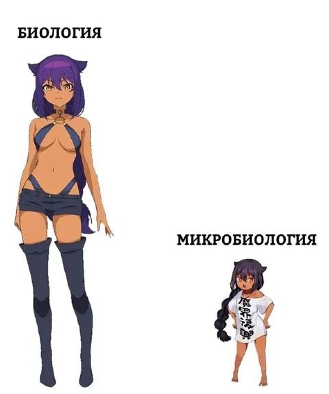 Биология и микробиология