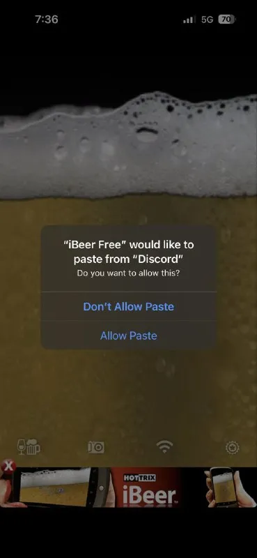 iBeer Wants to Paste from Discord