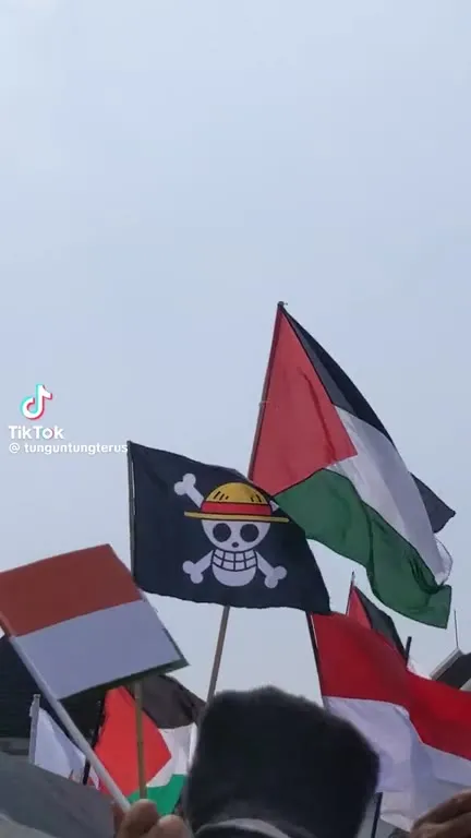 Флаг One Piece на протесте