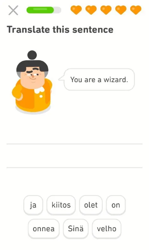You Are a Wizard Finnish Translation