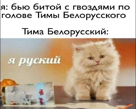 Тима Белорусского не сломать