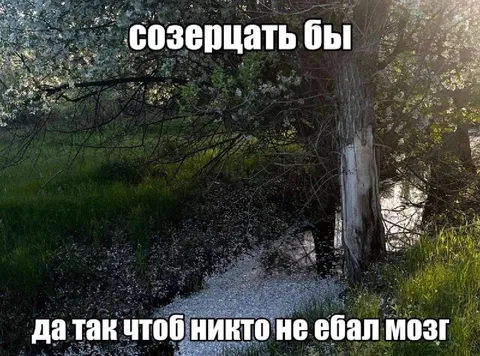 Созерцать без лишних мыслей
