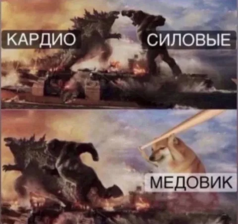 Медовик против кардио и силовых