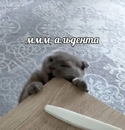 Ммм, альдента — кот грызёт стол