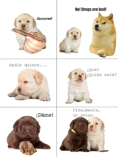 Finalmente, un amigo