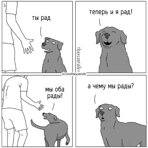 Мы оба рады, но почему
