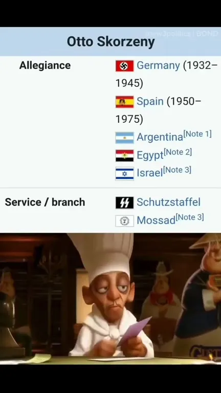 Otto Skorzeny Allegiance Check