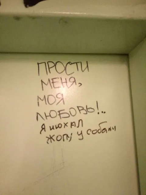 Искал жопу у собаки