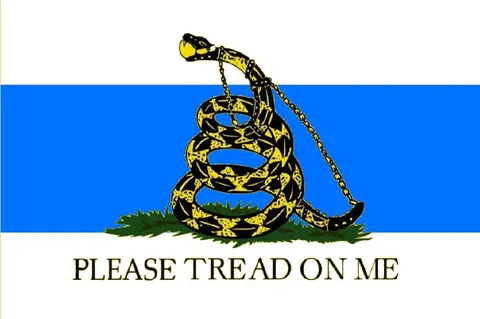 Please Tread on Me Snake Flag