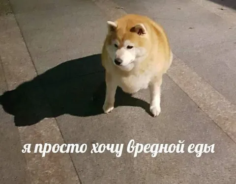 Я просто хочу вредной еды