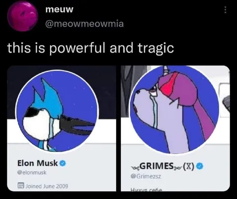 Elon Musk and Grimes Profile Picture Joke