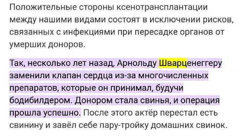 Арнольд и свиньи-доноры