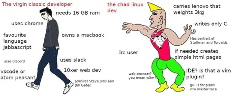 Virgin Classic Developer vs Chad Linux Dev