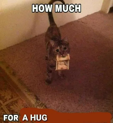 How Much for a Hug