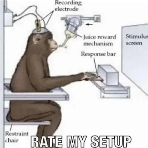 Monkey Lab Setup Rating